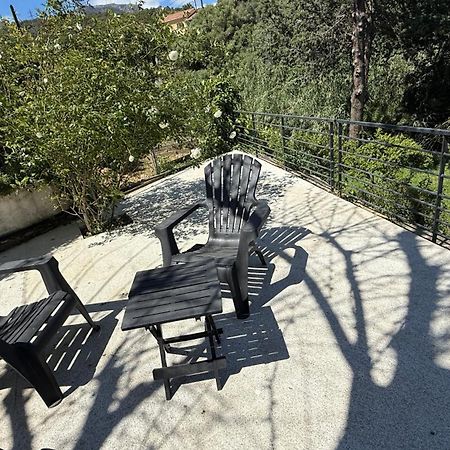 A Casa Corbaia Appartement 40 M2, Jardin Prive, Parking, Proche Centre Ville Et Mer Apartment 40 M2, Private Garden Parking Near Town Center And Sea Port And Airport バスティア エクステリア 写真